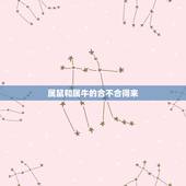属鼠和属牛的合不合得来，属鼠和属虎的人合得来
