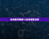 生肖配对姻缘12生肖婚配法则，十二生肖配对姻缘合婚