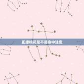 正缘桃花是不是命中注定，“正缘桃花”是什么意思？