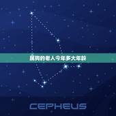 属狗的老人今年多大年龄，属狗的几月出生更好命