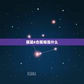 属鼠6合属相是什么，六鼠代表什么生肖