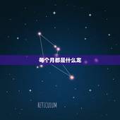 每个月都是什么龙，贷款每个月都逾期