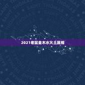 2021老鼠金木水火土属相，2021年什么命五行属性