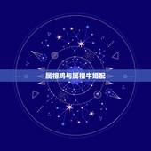 属相鸡与属相牛婚配，属牛和属鸡相配才源好不好