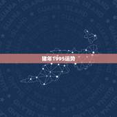 猪年1995运势，1995猪年六月份运势