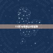 11月16号到22号运势，属羊农历11月22日12点26分的运气