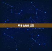 明日生肖蛇运势，蛇年生肖运程，蛇年十二生肖运程