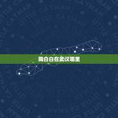 陶白白在武汉哪里，陶白白在哪里看