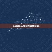 66年属马今天的男性运势，1966年农业8月初十，寅时的属马男人在20