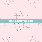 属马和属羊的孩子哪个属相好，属马的和属羊的生个什么生肖宝宝好