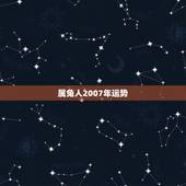 属兔人2007年运势，请教， 属兔的人，8月7日生，狮子座，在2007