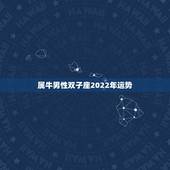 属牛男性双子座2022年运势，属牛双子座的人今年运势怎么了？