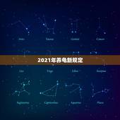 2021年养龟新规定，养龟的六大忌是？