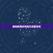 猪和蛇相冲吗有方式解决吗，猪和蛇真的相冲吗
