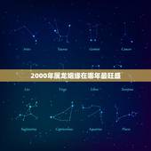 2000年属龙姻缘在哪年最旺盛，属龙最命苦的时辰