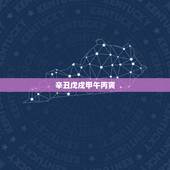 辛丑戊戌甲午丙寅，辛末辛丑戊戌