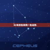 82年的生肖狗一生运势，生肖狗最重要的贵人属相