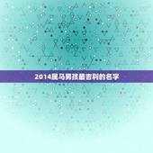 2014属马男孩最吉利的名字，2014年刚出生属马的男孩要取什么名字好