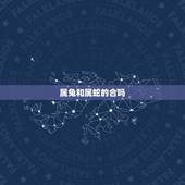 属兔和属蛇的合吗，属蛇人与属兔人