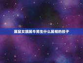 属鼠女跟属牛男生什么属相的孩子，男属马女属鼠，生什么属相的孩子好