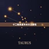 十二地支金木水火土属性，天干地支八字五行属性的许多问题