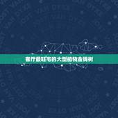 客厅最旺宅的大型植物金钱树，金钱树放在客厅什么位置辟邪招财？