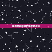 属猴的和属鸡的婚配合适吗，男属猴女属鸡配吗？属猴和属鸡配吗？