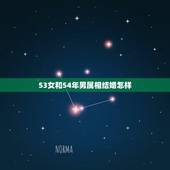 53女和54年男属相结婚怎样，54年属马的今年婚姻怎么样？