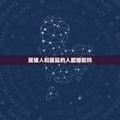 属猪人和属鼠的人能婚配吗，属鼠和属猪的相配吗