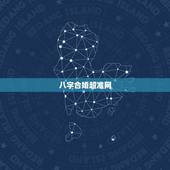 八字合婚超准网，生辰八字合婚最准的网站是中国神算网吗