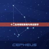 十二生肖婚配属相与幸运数字，十二生肖幸运数字