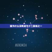 猫为什么没有成为十二属相之一，猫为什么没有加入十二生肖