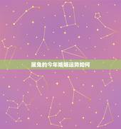 属兔的今年婚姻运势如何，今年属兔的婚姻怎么样