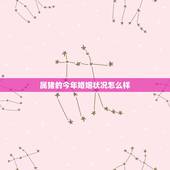 属猪的今年婚姻状况怎么样，属猪的已婚人今年感情咋样