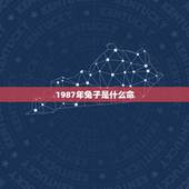 1987年兔子是什么命，1987年的兔子是什么命