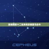 属相婚配十二生肖年龄表属马合牛，属马和属牛的相配吗