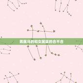 男属马的和女属鼠的合不合，1990年属马和1996年属鼠的配吗