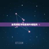 赵荀的名字和属相牛相配吗，赵荀的人物评价
