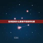 生肖鼠和什么属相不和如何化解，属鼠的和什么属相不合？