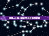 属猪人2022年运势运程每月运程，2022属猪人的全年运势如何