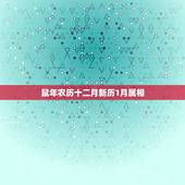 鼠年农历十二月新历1月属相，本命年算农历还是阳历