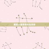 属鼠人最苦命出生月份，鼠年出生的人的命运什么月更好