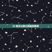 一身五心胆小如鼠的属相，一( )身( ) 成语填空