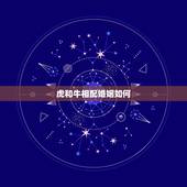 虎和牛相配婚姻如何，1962年虎和1985年牛的婚姻怎么样