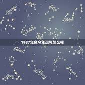 1987年兔今年运气怎么样，1987年属兔本命年运势怎样？事业如何？