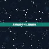 属猴的男和什么属相最配，1980属猴的男人和什么属相最配