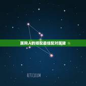 属狗人的婚配最佳配对属猪，女属狗的属相婚配表