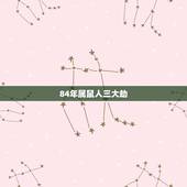 84年属鼠人三大劫，84年属老鼠男性与什么属相的异性桃花劫在几月份