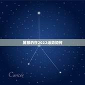 属猴的在2022运势如何，2021年属猴人的全年运势