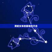 男蛇女羊的属相合不合，男属蛇女属羊婚姻幸福吗